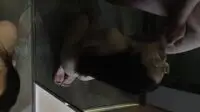 Bokep Cici Berkacamata Nyepong Otong Koko Crot Di Mulut Ya