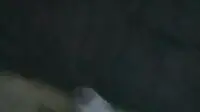 Bokep Jamilah Prank Ojol