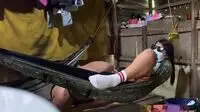 Bokep Om Ngentot Gadis Lokal Di Gubuk With Subtitle English